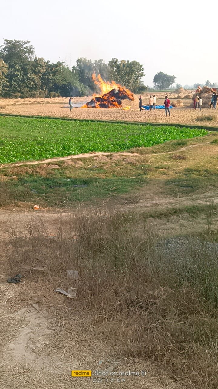 हिंदी समाचार |थ्रेसर से धान की पराली में लगी...