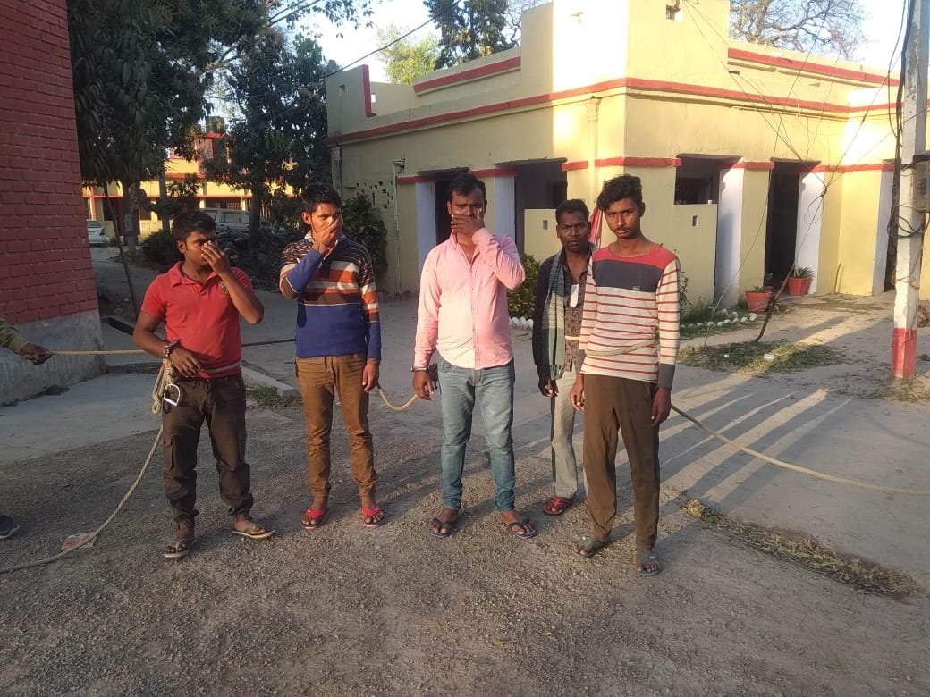हिंदी समाचार |पशु तस्करों को पुलिस ने...