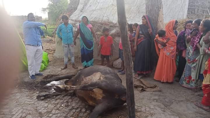 हिंदी समाचार |बिरहा गायक के घर में अचानक लगी...