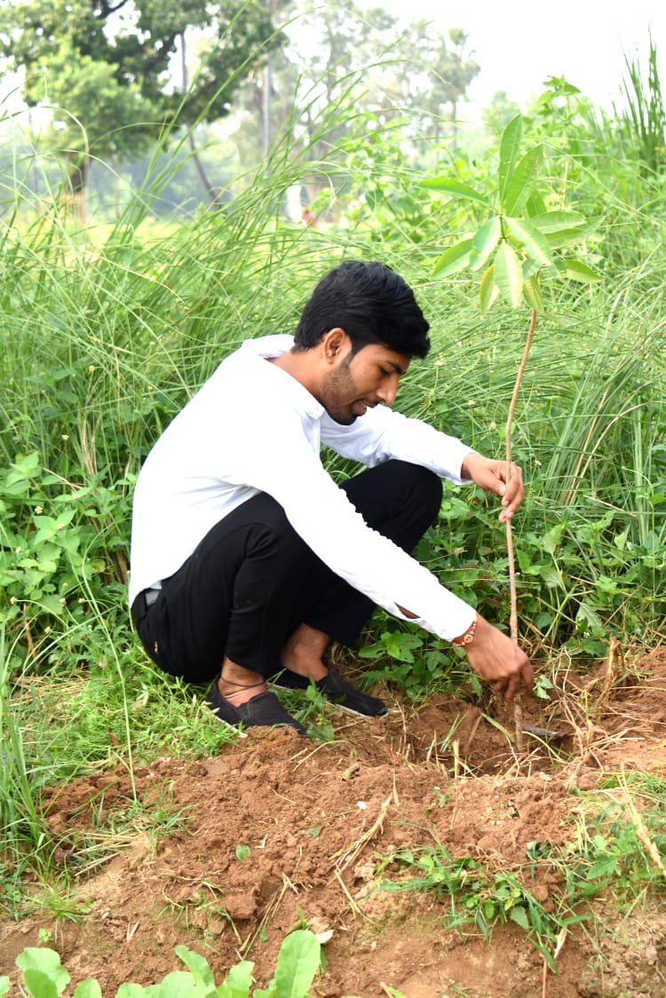 हिंदी समाचार |राष्ट्रीय प्रदूषण नियंत्रण...