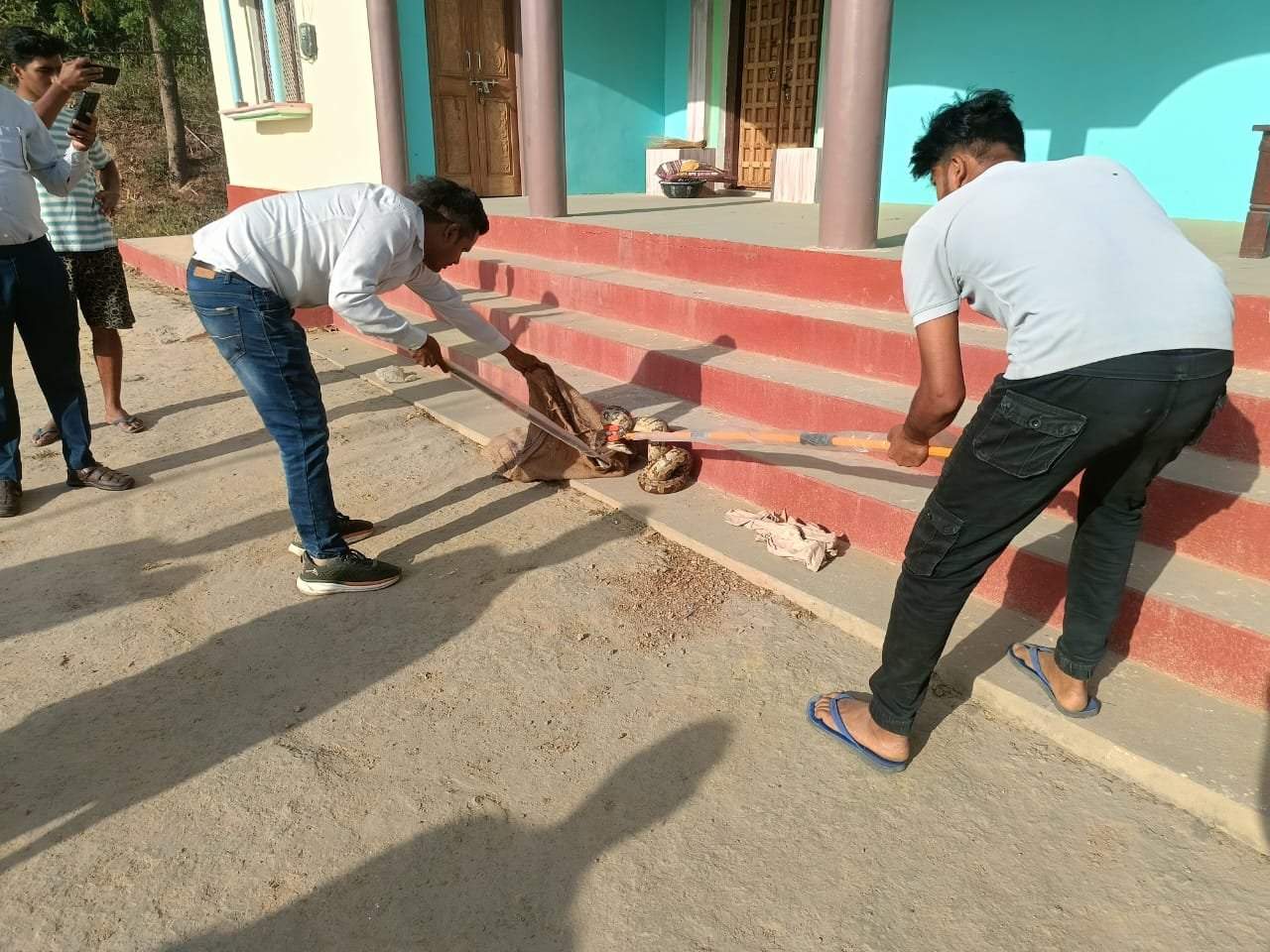 हिंदी समाचार | घर की सीढ़ी पर दिखा 10 फीट लंबा...