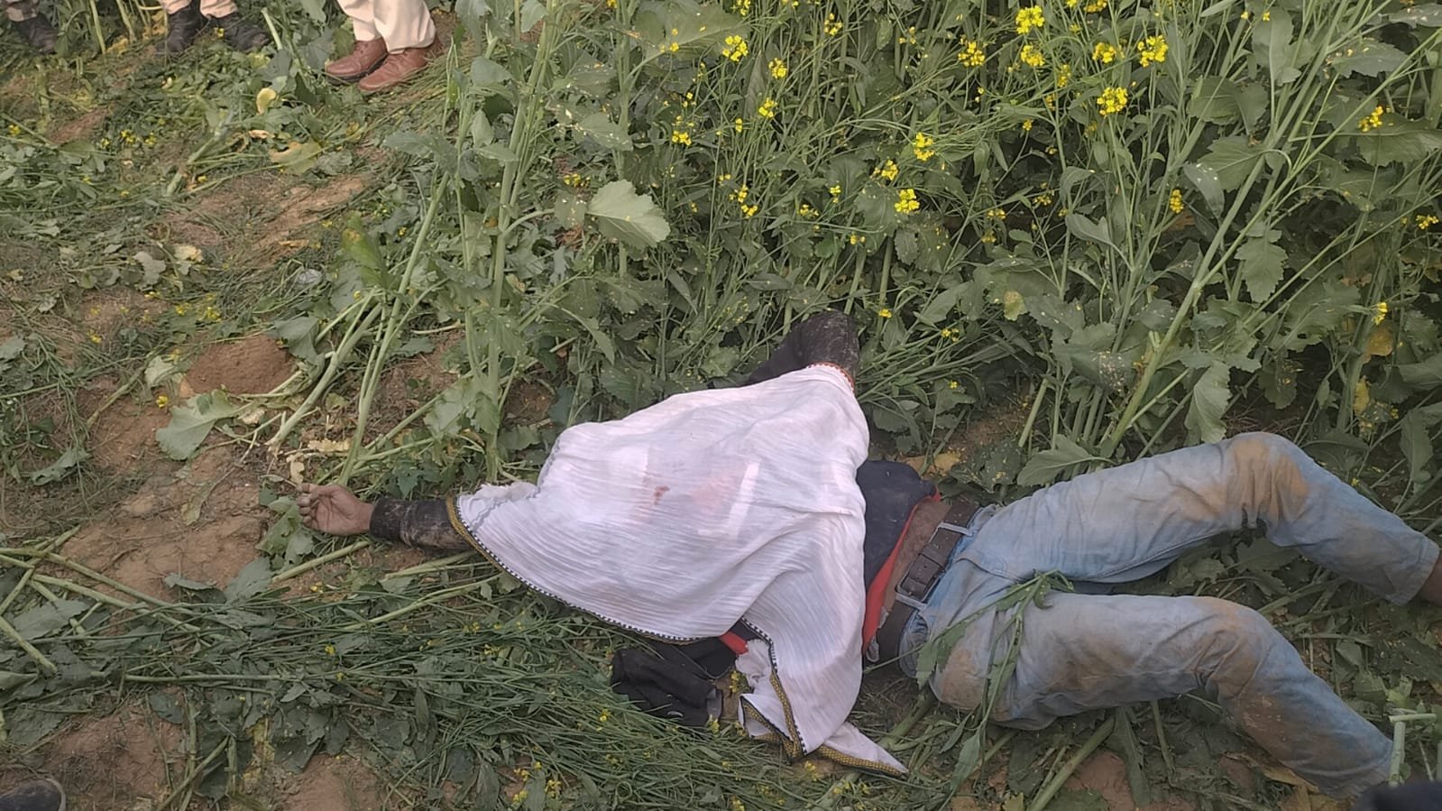 हिंदी समाचार |सवा करोड़ के विवाद में युवक की...