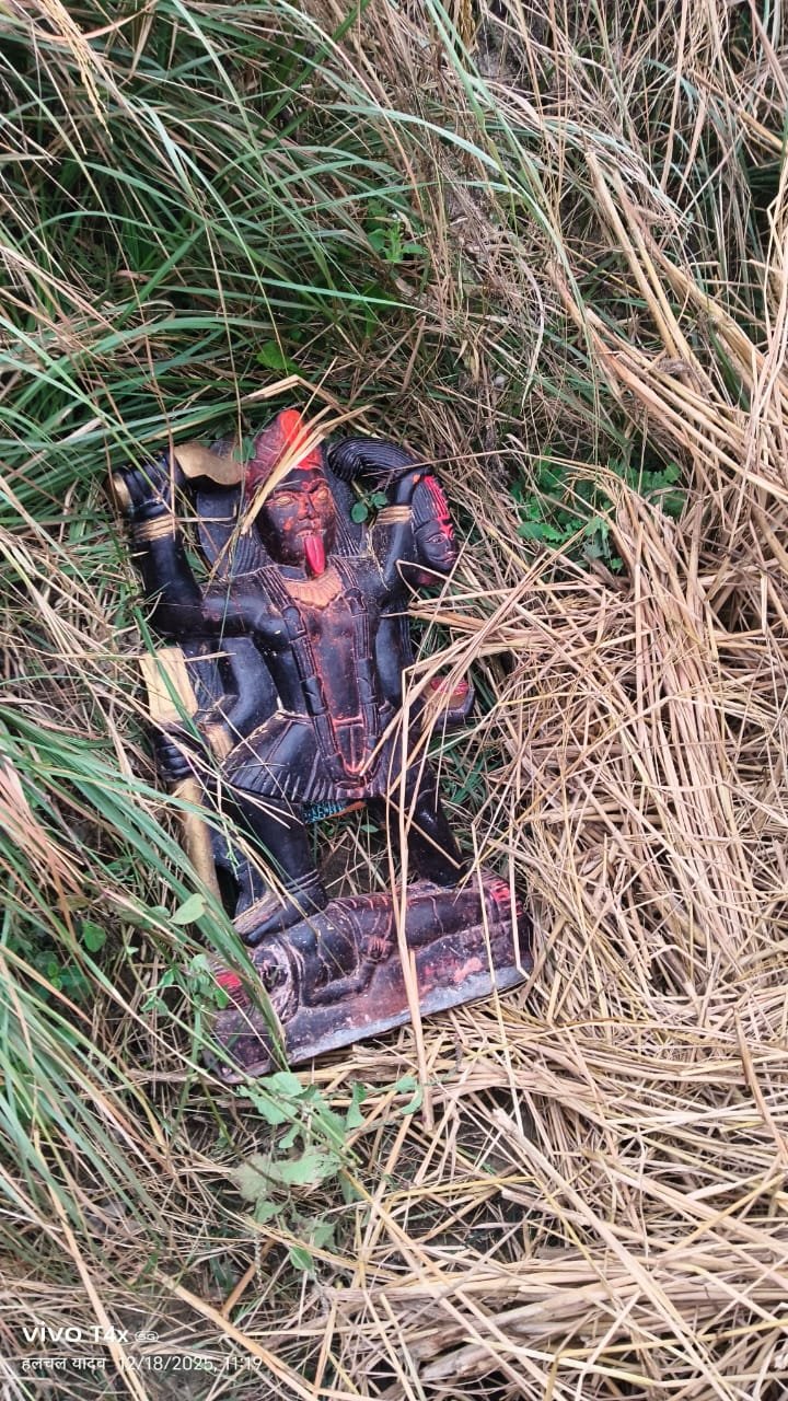 हिंदी समाचार |अज्ञात अपराधियों ने काली मां...