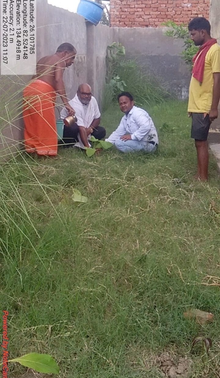 हिंदी समाचार |वृक्षारोपण से ही होगा प्रकृति...