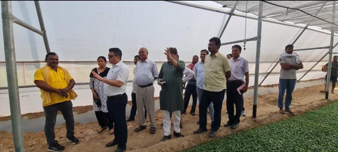 हिंदी समाचार |मोहनिया में जदयू चिकित्सा...
