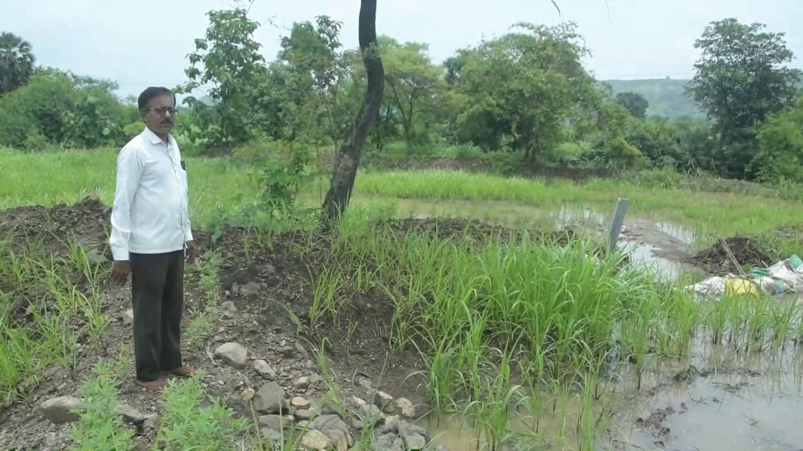 हिंदी समाचार |किसानों का कड़ा रुख,पहले उचित...