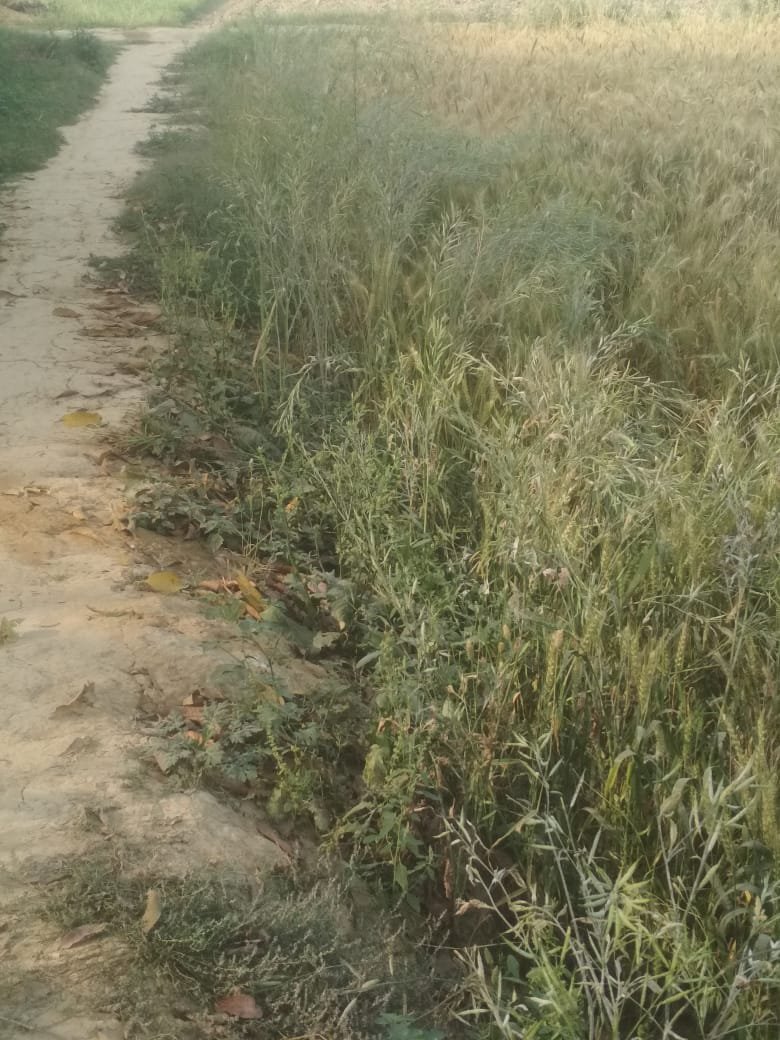 हिंदी समाचार |प्रशासन के भय से मुक्त हैं...
