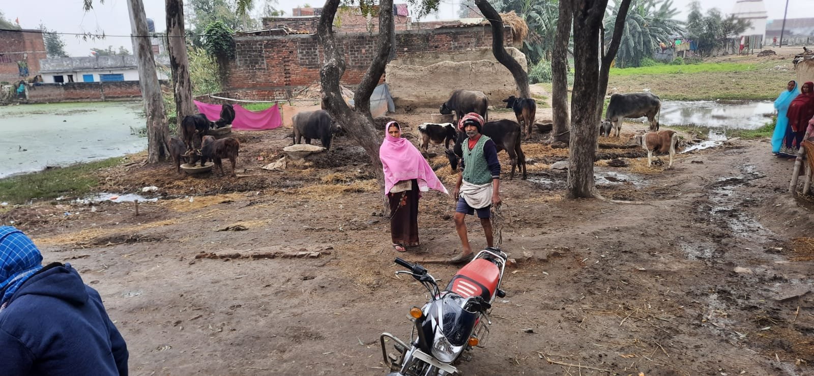 हिंदी समाचार |ग्राम कचहरी व पंचायत भवन को...