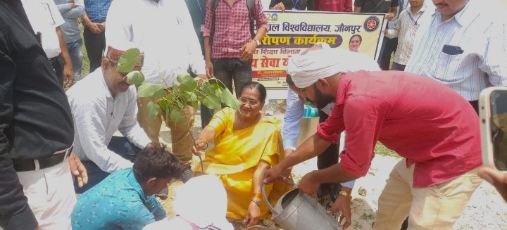 हिंदी समाचार |पेड़ लगाओ-पेड़ बचाओ' थीम पर...