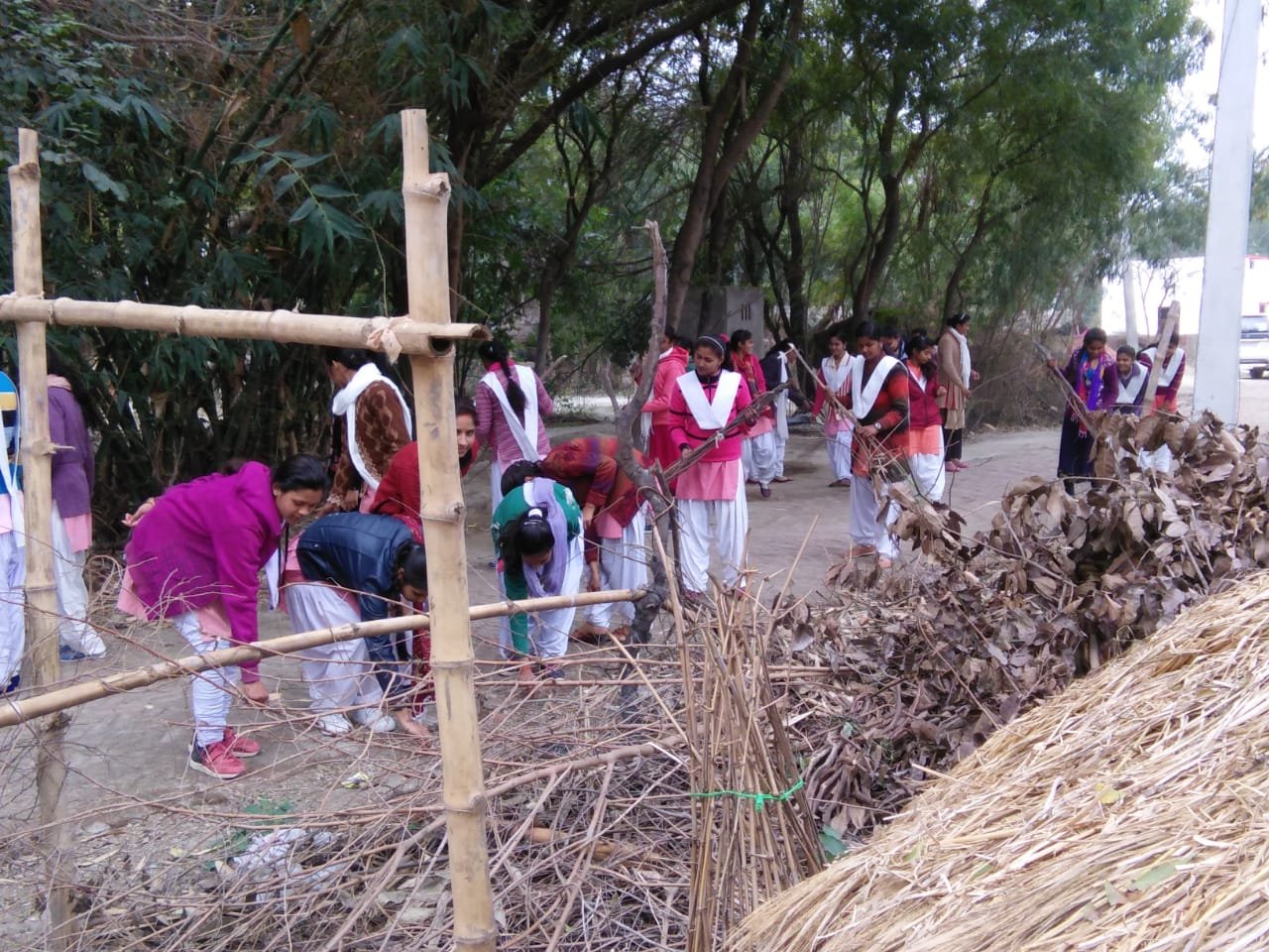 हिंदी समाचार |राष्ट्रीय सेवा योजना के स्वयं...