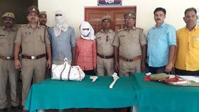 हिंदी समाचार |दो लूटेरे चढ़े पुलिस के हत्थे  ...
