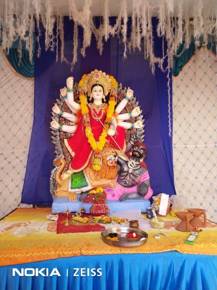 हिंदी समाचार |राजगढ़ के तलेन में जगह जगह दिख...