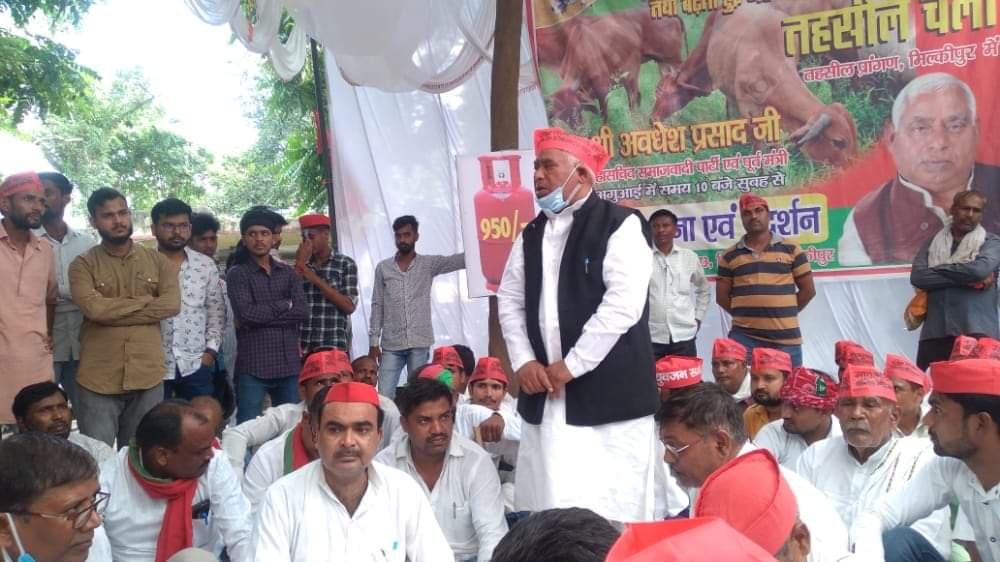 हिंदी समाचार |मिल्कीपुर तहसील में सपा के...