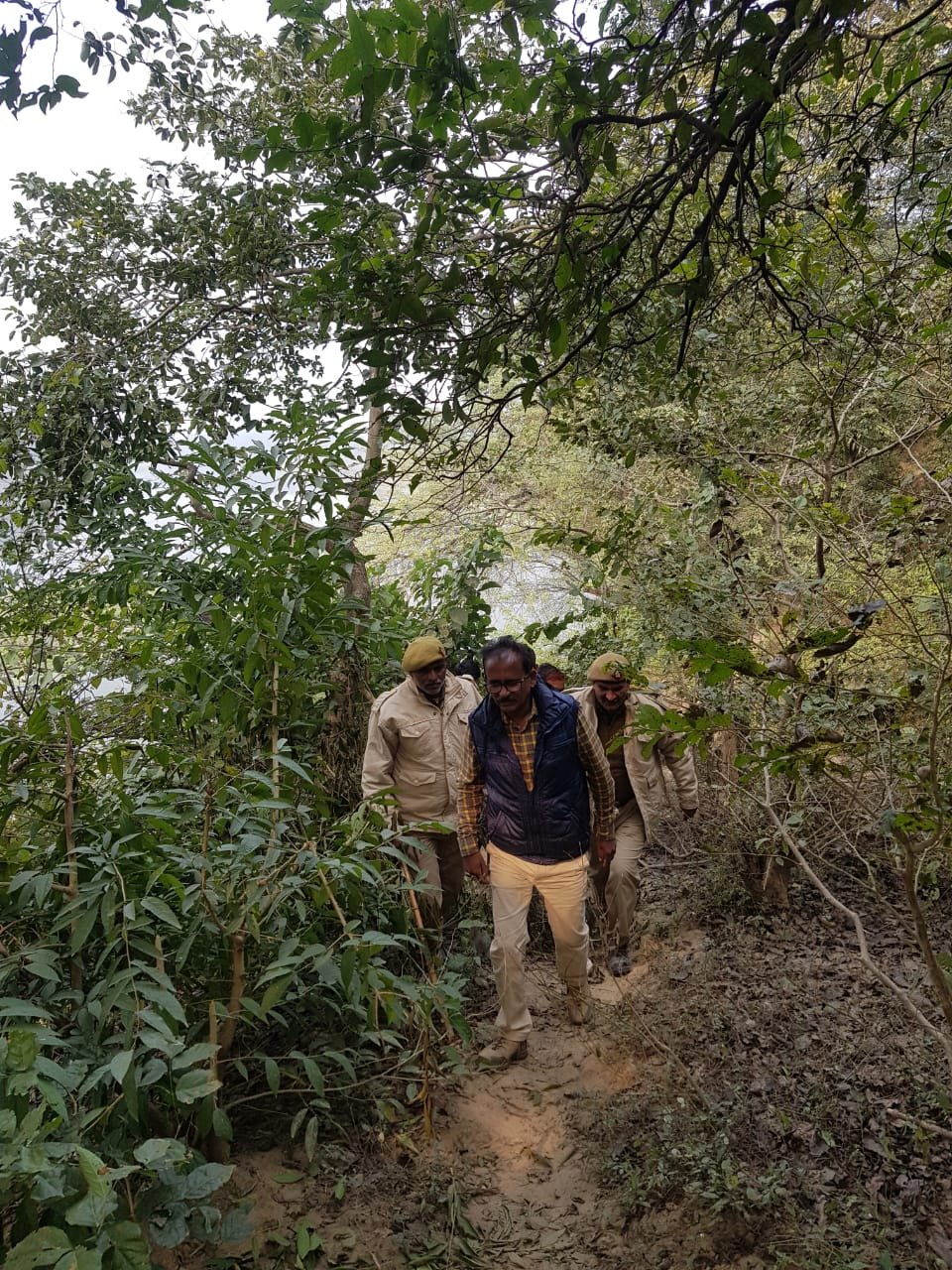 हिंदी समाचार |कुमारगंज वन क्षेत्राधिकारी...