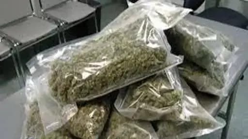 हिंदी समाचार |भिवंडी में नशे के खिलाफ पुलिस...