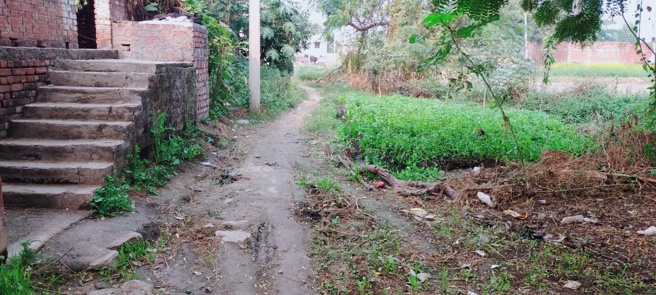 हिंदी समाचार |आजादी के बाद न तो नथुआ गांव की...