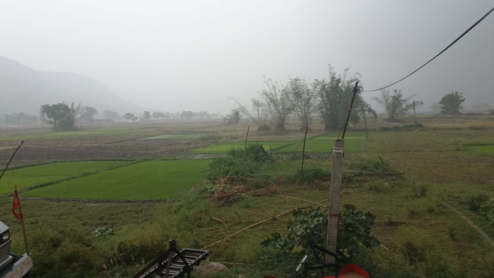 हिंदी समाचार |रामपुर में झमाझम बारिश से...