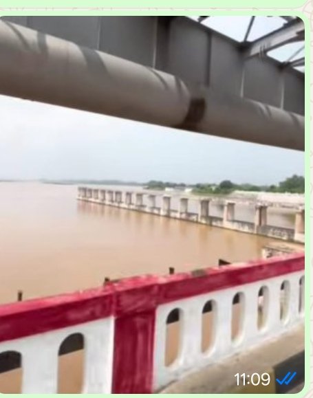 हिंदी समाचार |सोन नदी के तटीय और निचले...
