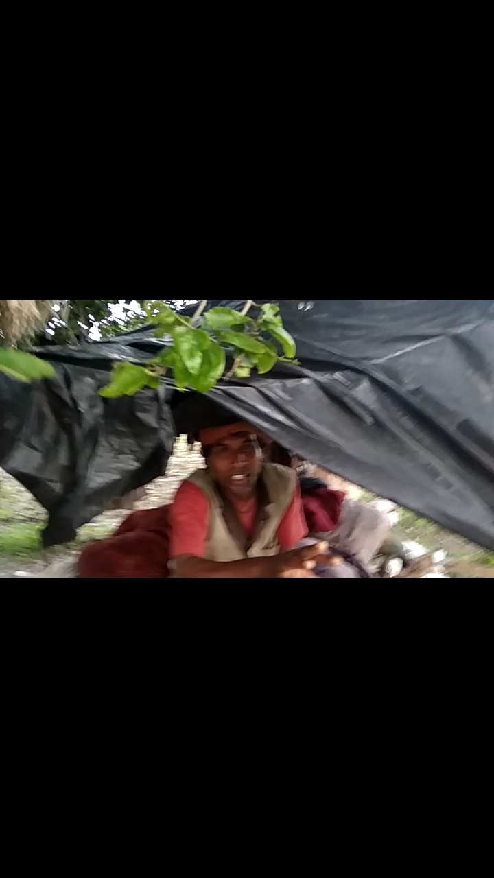 हिंदी समाचार |भदोही में एक ऐसा भी राजकुमार