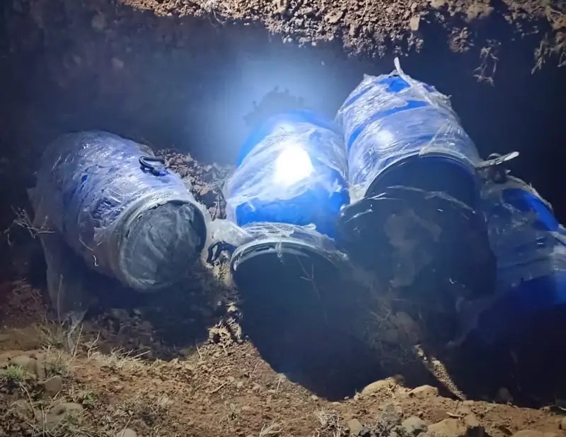 हिंदी समाचार |माचलपुर पुलिस द्वारा बड़ी...