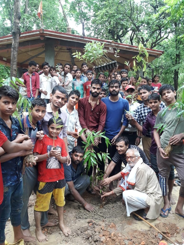 हिंदी समाचार |101औषधीय पौधों का किया...