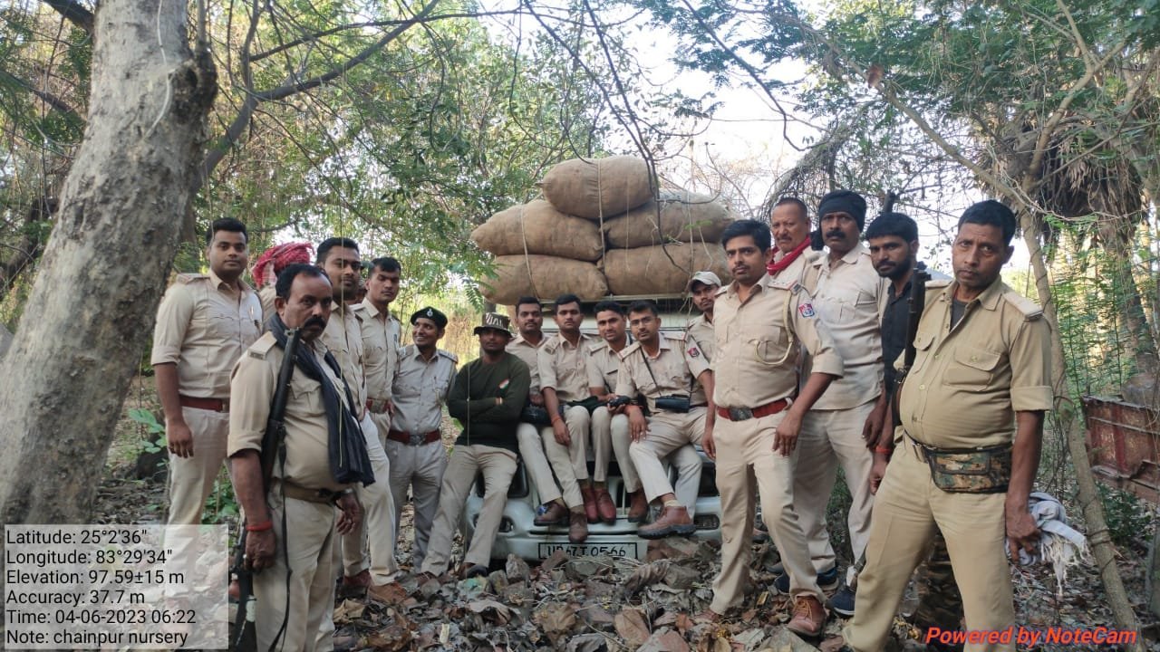 हिंदी समाचार |चैनपुर वन विभाग छापेमारी के...
