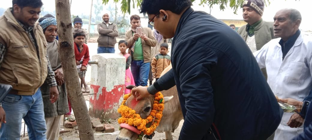 हिंदी समाचार |खराब मौसम में भी पशु आरोग्य...