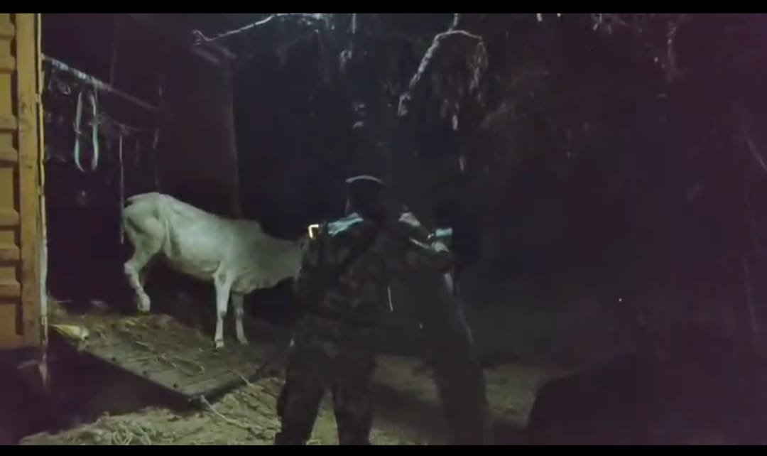 हिंदी समाचार | कैमूर में पशु तस्करी का बड़ा...