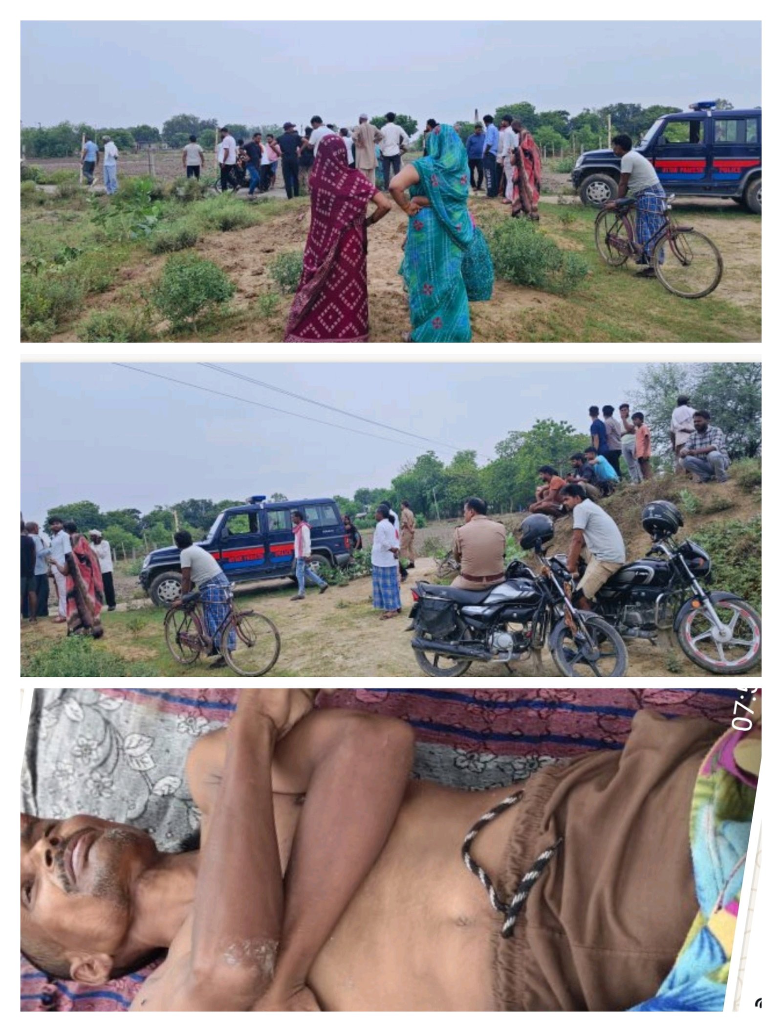 हिंदी समाचार | घर के सामने शीशम के पेड़ से...