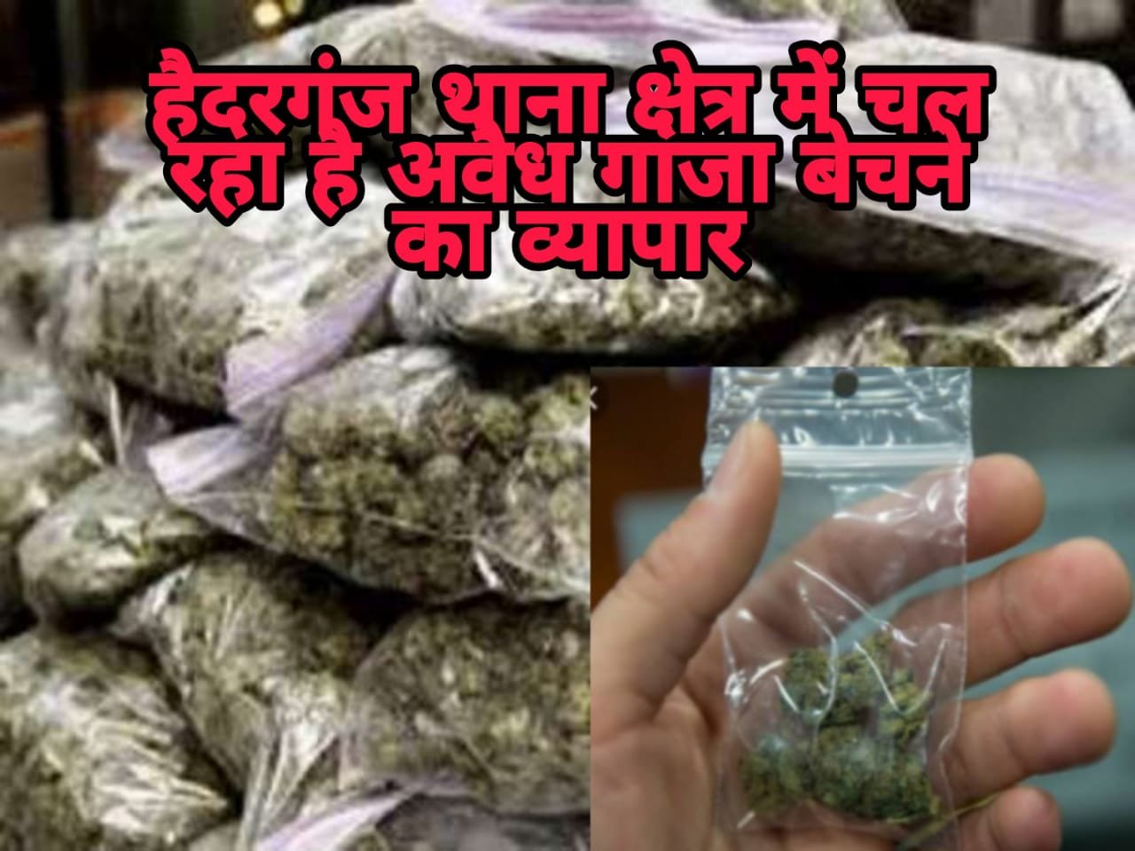 हिंदी समाचार |हैदरगंज थाना क्षेत्र में...