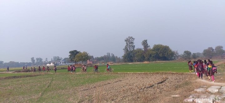 हिंदी समाचार |रास्ता न होने से बच्चों को...