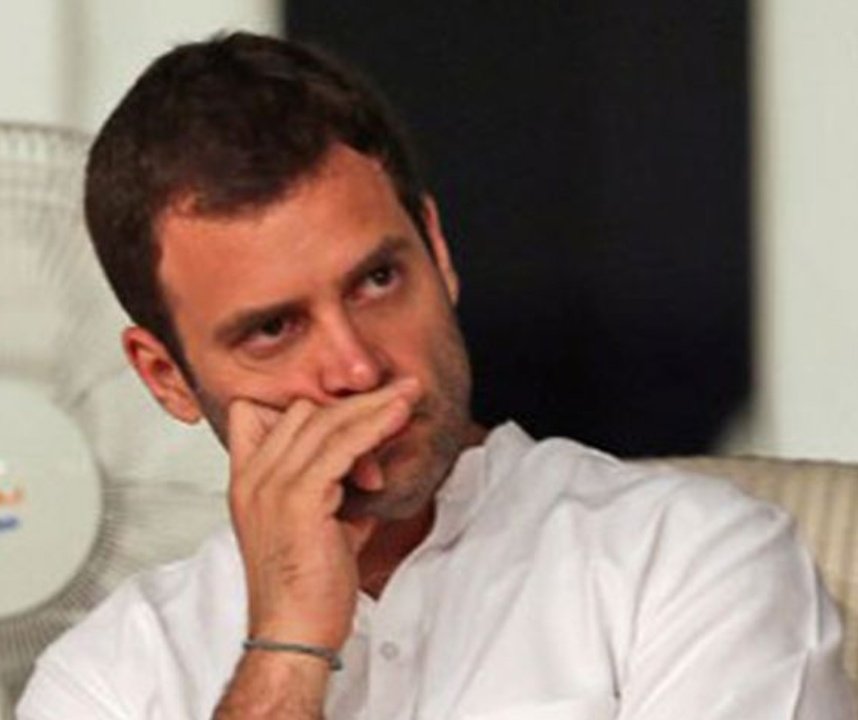 हिंदी समाचार |कांग्रेस अध्यक्ष राहुल...