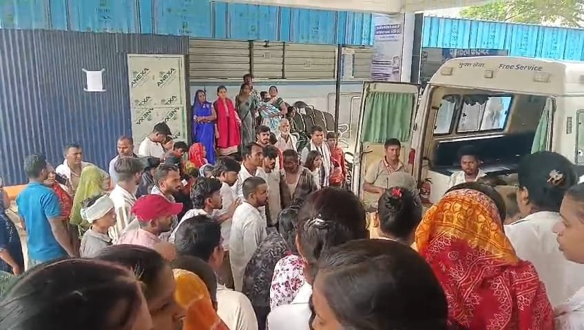 हिंदी समाचार |धान रोपाई हेतु खेत जा रही...