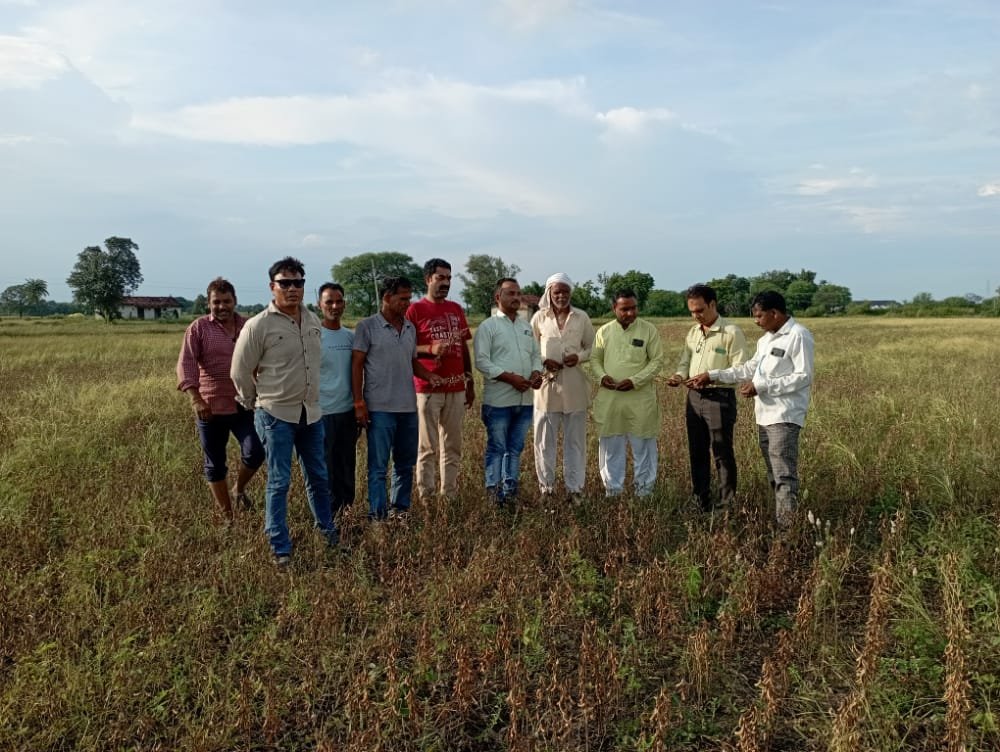 हिंदी समाचार |बारिश से खराब हुई फसलों का...