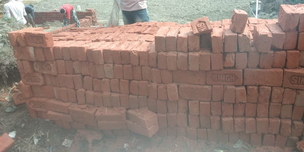 हिंदी समाचार |भ्रष्टाचार के खेल में क्या...