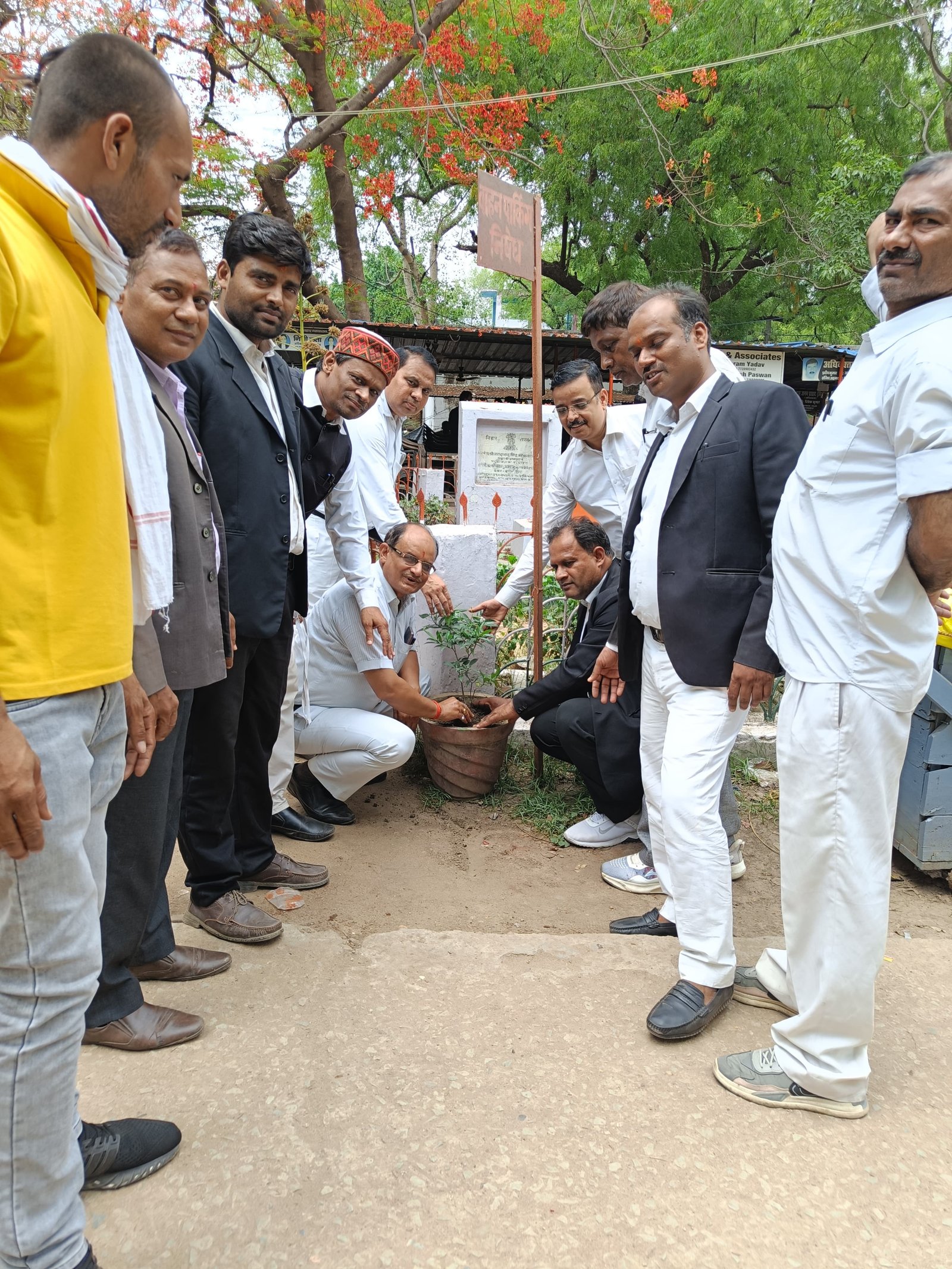 हिंदी समाचार |विश्व पर्यावरण दिवस पर जिला...