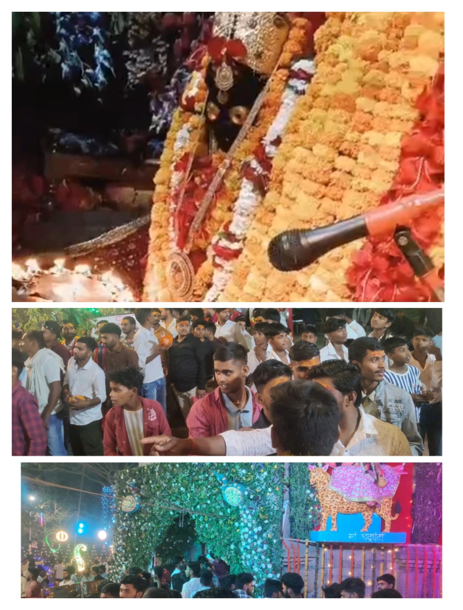 हिंदी समाचार |मां मुंडेश्वरी दर्शन में...