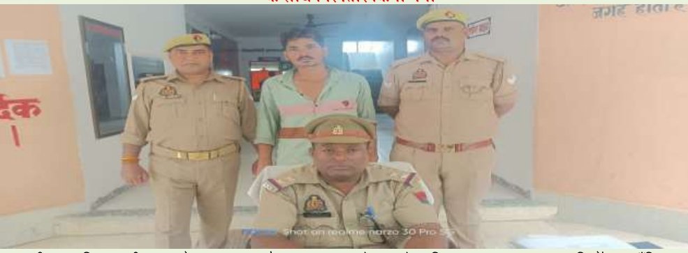 हिंदी समाचार |वांछित अभियुक्त तमंचा और...