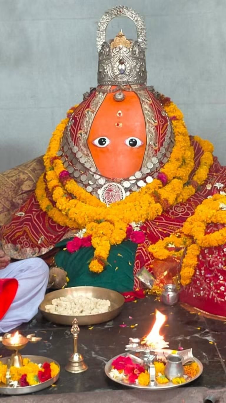 हिंदी समाचार |भैंसवा बिजासन माता धाम तक...