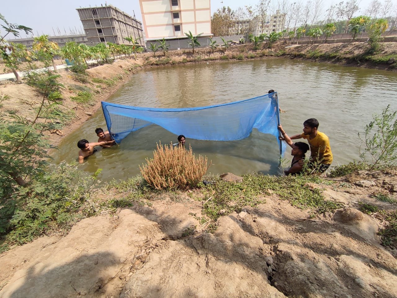 हिंदी समाचार |गर्मी के मौसम में मछली पालकों...